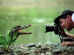 How Much Money Do Nat Geo Photographers Make?